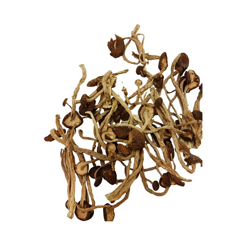 Hong Kong Kai Tai Edible Fungi Agrocybe Agrocybe (80g)