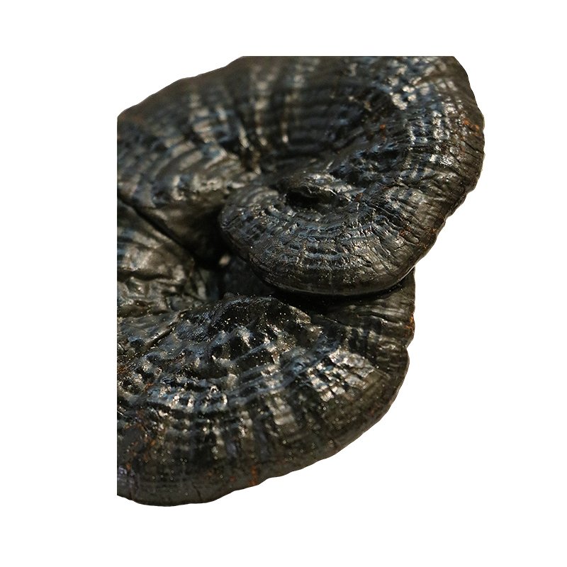 Hong Kong Kai Tai Wild Ganoderma Wild Purple Ganoderma Lucidum (100g)