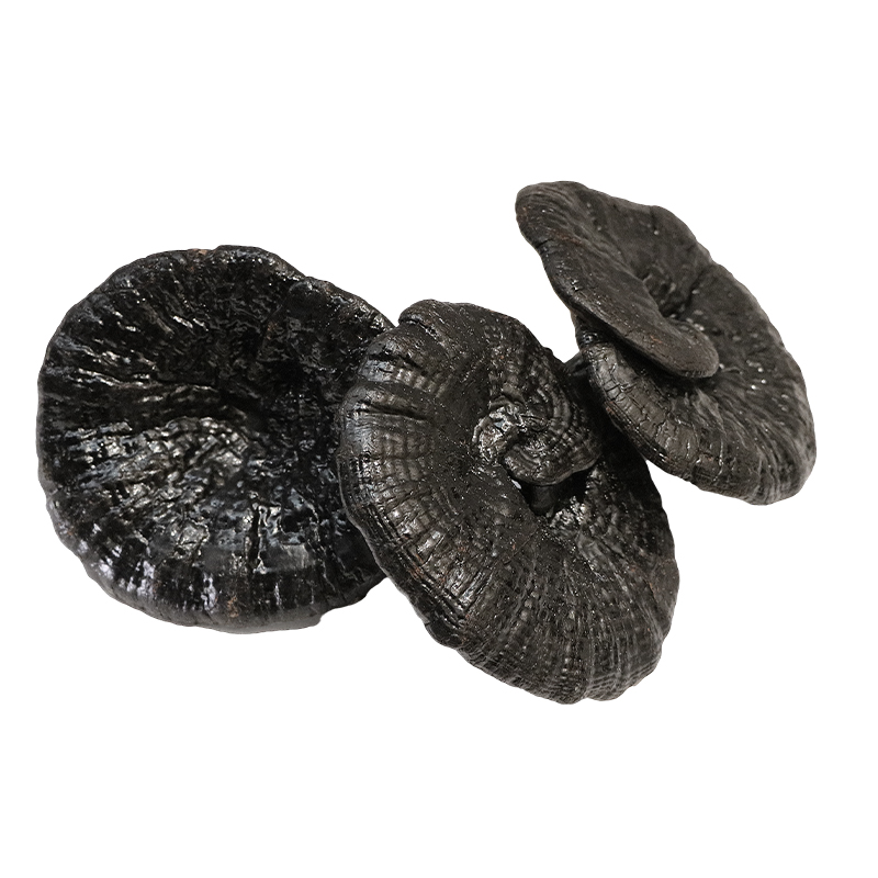 Hong Kong Kai Tai Wild Ganoderma Wild Purple Ganoderma Lucidum (100g)