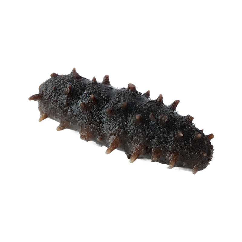 How to properly handle and cook sea cucumber to preserve its nutrients?