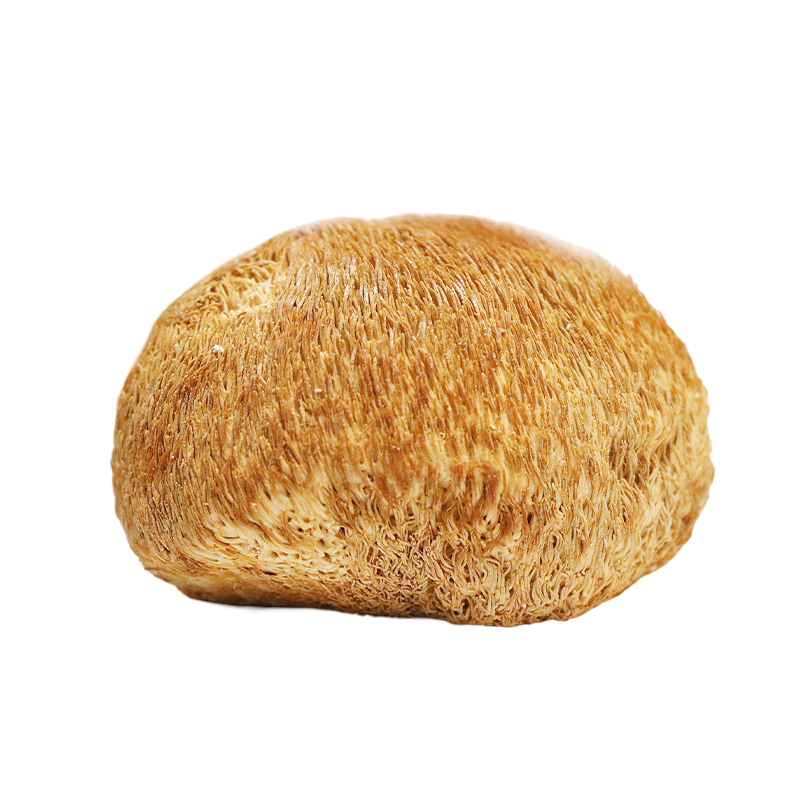 How does hong kong kai tai edible fungi hericium erinaceus become an ideal choice for health and wellness?