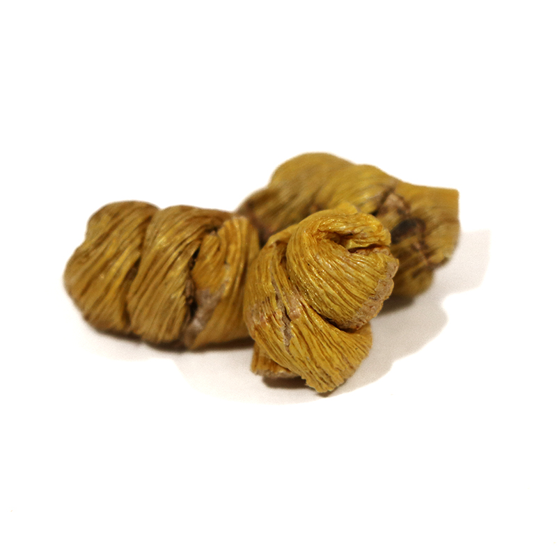 What are the effects of blanching temperature and kneading intensity on the forming rate of Dendrobium during the processing of dried Dendrobium?