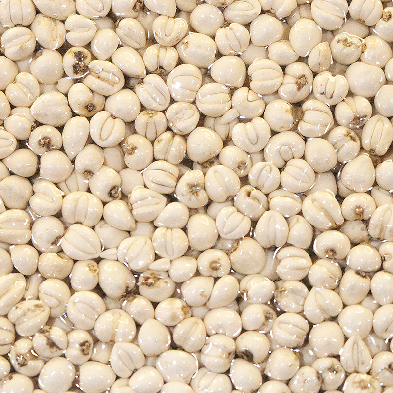 What ingredients are best paired with fritillaria cirrhosa when making soup?